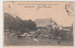 Exploitation Agricole Du ROUGEMEONT (près CENSEAU) (39 - Jura)  Beurre Fin  & Bétail De Race ; Vaches - Timbrée 1907 - Altri Comuni