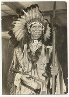 Germany, Radebeul, Karl May Museum, Dakota Chief, '70s. - Radebeul