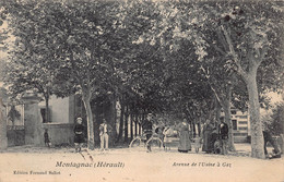 34 - HERAULT - MONTAGNAC - 10206 - Avenue De L'usine à Gaz - Montagnac