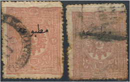 Turquie Journaux 1894. ~ J 13 (par 2) - 20 Pa. TP Surchargé - Timbres Pour Journaux