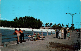 Florida Clearwater Bbeach Fishing And Promenading On The Municipal Pier 1962 - Clearwater