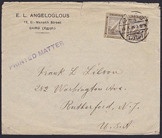 EGYPT - POSTAL HISTORY: COVER To USA 1920 -- Printed Matter - 1915-1921 Protectorat Britannique