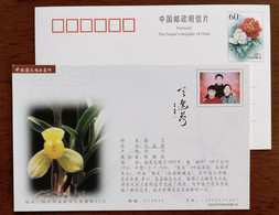 Rare Species Spring Orchid,tianyihe,China 2001 Sichuan Chinese Orchid Boutique & Nurturer Advertising Pre-stamped Card - Orquideas