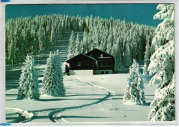 Bodenmais - Jugendherberge Am Kleinen Arber Im Winter 1983 - Bodenmais