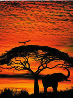 Afrique Kenya Coucher Du Soleil  Eléphant Sinset Kenya N°Y 563  BE - Kenya