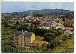 ( ARUDY  )( 64 PYRENEES ATLANTIQUES ) VUE GENERALE - Arudy