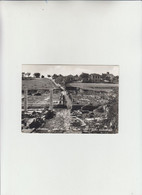 Avezzano, Alba Fucens - Scavi Archeologici - Cartolina Viaggiata 1961 - Avezzano
