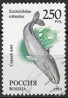 RUSSIA # FROM 1993 STAMPWORLD 351 - Gebruikt