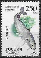 RUSSIA # FROM 1993 STAMPWORLD 351 - Oblitérés