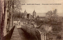 SAINT-DIE   ( VOSGES )     PANORAMA VERS LA CATHEDRALE - Saint Die