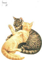 2 Chats  - Cats  - Katzen - 2 Gestreepte Poezen- Francien - Katzen