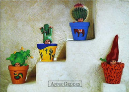 ► CPSM Anne Geddes   Bébé  Cactus Piment   2000 - Cactus