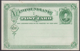 F - CANADA - * NEWFOUNDLAND - Postal Stationery "AMERICAN BANK NOTE C°.N.Y." * - Interi Postali