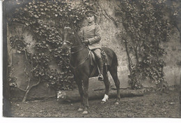 CARTE PHOTO WW1 8 Cartes:  Le Cheval Dans L'Armée Allemande - War 1914-18