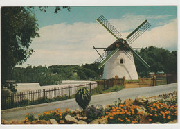 Mostert's Mill In Spring With Flowers, Cape - Südafrika