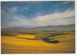 The Golden Lands, Swellendam - South Africa