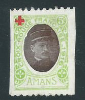 VIGNETTE Croix Rouge DELANDRE  - FRANCE - AVIATION Aviateurs WWI WW1 Cinderella Poster Stamp 1914 1918 - Red Cross