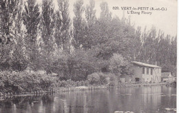 VERT LE PETIT - L'Etang Fleury - Vert-le-Petit