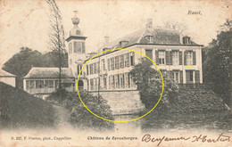 Château De Zevenbergen - Carte Circulé En 1904 - Ranst