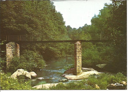 AIGREFEUILLE SUR MAINE - Passerelle Sur La Petite Maine - Aigrefeuille-sur-Maine