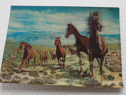 3d 3 D Lenticular Stereo Postcard Horses Toppan   A 212 - Cartoline Stereoscopiche