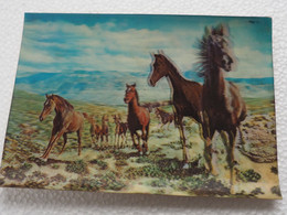 3d 3 D Lenticular Stereo Postcard Horses Toppan   A 212 - Cartes Stéréoscopiques