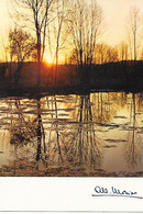 Delcampe - Albert MONIER  -   No 1007 - Monier