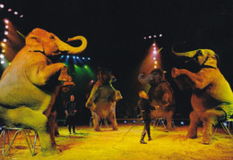 A14864 - CIRCUS ELEPHANTS  POSTCARD - Cirque