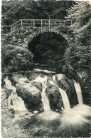 1958 Vieux Carte Cascade De Mullerthal ( Schiessentümpel  ) - Petite Suisse - Ed E.A. Schaak - Slogan Willibrord - Muellerthal