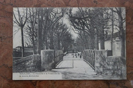 MONTLUEL (01) - LA PASSERELLE ET LA PROMENADE DES TILLEULS - Montluel