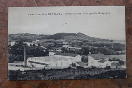 MONTLUEL (01) - L'AIN ILLUSTRE - USINE CASTOR, FABRIQUE DE CHAPEAUX - Montluel