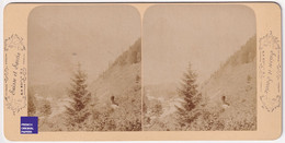 Vallée De Chamonix Mont-Blanc Prise Des Bossons Photo Stéréoscopique BK 16,8x8,4cm Vers 1880/90 Haute-Savoie C5-2 - Photos Stéréoscopiques