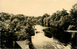 Clisson * Carte Photo * Vue Sur La Sèvre * 1948 - Clisson