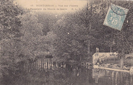 MONTGERON - Vue Sur L'Yerres - La Passerelle Du Moulin De Senlis - Montgeron