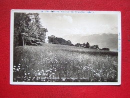 SUISSE - CHEXBRES  - " HOTEL DU SIGNAL - LE PARC " - VOIR LES SCANS - - Chexbres