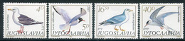 YUGOSLAVIA 1984 Gulls  MNH / **.  Michel 2055-58 - Ongebruikt