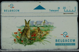 BELGIUM 1998 PHONECARD RABBITS USED VF!! - Conejos