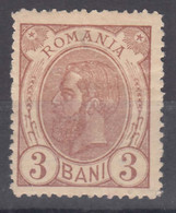 Romania 1893 Mi#101 Mint Hinged - Unused Stamps