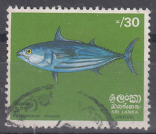 Ceylon (Sri Lanka) 1972 Fish Mi#430 Used - Sri Lanka (Ceylan) (1948-...)