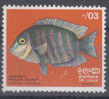 Ceylon (Sri Lanka) 1972 Fish Mi#429 Mint Never Hinged - Sri Lanka (Ceylon) (1948-...)