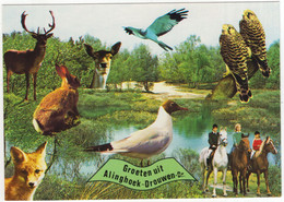 Groeten Uit Alinghoek-Drouwen - (Drenthe, Nederland/Holland) - Dieren, Vogels -  Nr. L 7329 - Odoorn