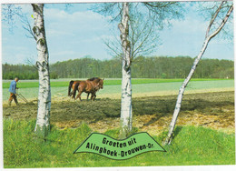 Groeten Uit Alinghoek-Drouwen - (Drenthe, Nederland/Holland) - Paardenspan, Ploegende Boer -  Nr. L 335 - Odoorn