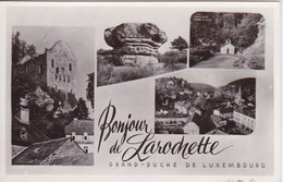 LUXEMBOURG - UN BONJOUR DE LAROCHETTE  - GRAND DUCHE DE LUXEMBOURG - Larochette