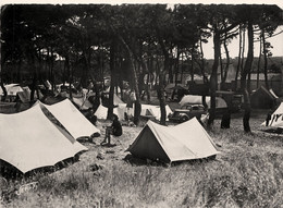 Noirmoutier * Les Campeurs En Forêt * Camping * Toile De Tente - Noirmoutier