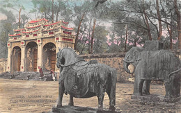 Tonkin:  Annam.   Hué    Porte De L'enceinte Extérieure Au Tombeau De Minh-Mang  (voir Scan) - Vietnam