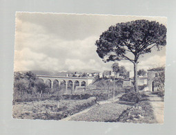 162  ISERNIA  Ponte  Cardarelli - Isernia