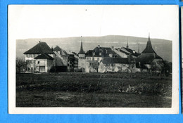 N14-117, Le Vieux Landeron, P. Monnerat, Trou De Punaise, Non Circulée - Le Landeron