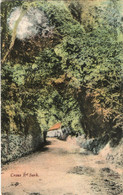 Creux Road, Sark 1904 - Sark