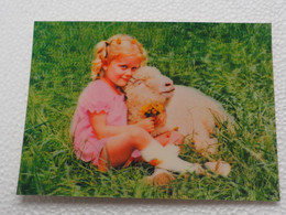 3d 3 D Lenticular Stereo Postcard Child And Lamb   A 214 - Cartes Stéréoscopiques