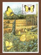 Schweden / Sverige 1993  Mi.Nr. 1776 , Schmetterlinge "Colias Palaeno" - Maximum Card - 21.5.1993 - Cartes-maximum (CM)